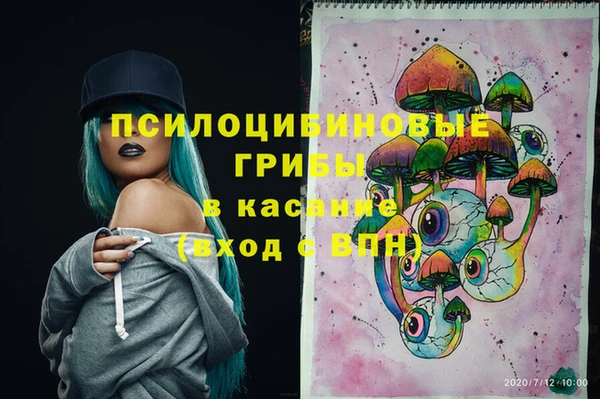 амф Абинск