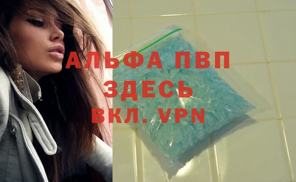 a pvp Абаза