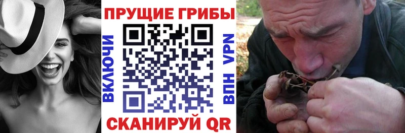 где купить наркоту  Усть-Катав  Галлюциногенные грибы ЛСД 